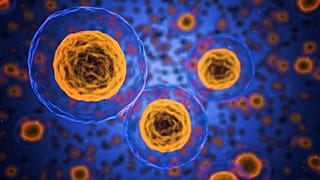New cancer therapy using antibody could offer a less toxic treatment option