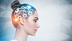 Researchers studied how the hippocampus supports memory functions.