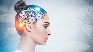 Researchers studied how the hippocampus supports memory functions.
