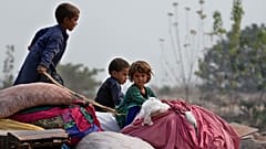 Pakistan, ülkedeki 1 milyon 700 bin belgesiz Afgan göçmeni geri göndermeye başladı. 