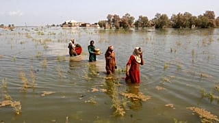 Flooding in Pakistan last year killed at least 1,700 people, destroyed millions of homes, wiped out swathes of farmland, and caused billions of dollars in economic losses.
