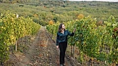 Moldawiens Weinland entdecken: Aus den Kellern, in den Weinbergen und aus der Vogelperspektive