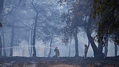 Φωτογραφία Αρχείου