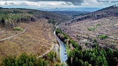 Large parts of the forests are missing in the Taunus region near Frankfurt, Germany, April 7, 2023. 