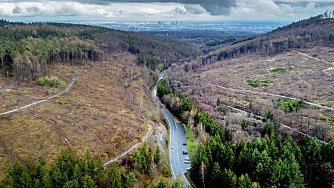 Large parts of the forests are missing in the Taunus region near Frankfurt, Germany, April 7, 2023. 