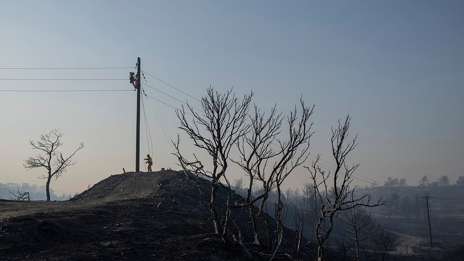 Waldbransdchäden in Griechenland im Juli 2023