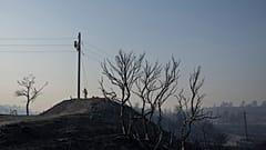 Waldbransdchäden in Griechenland im Juli 2023
