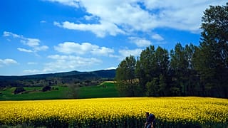 Un pèlerin marche dans la région de Pamplune en Espagne