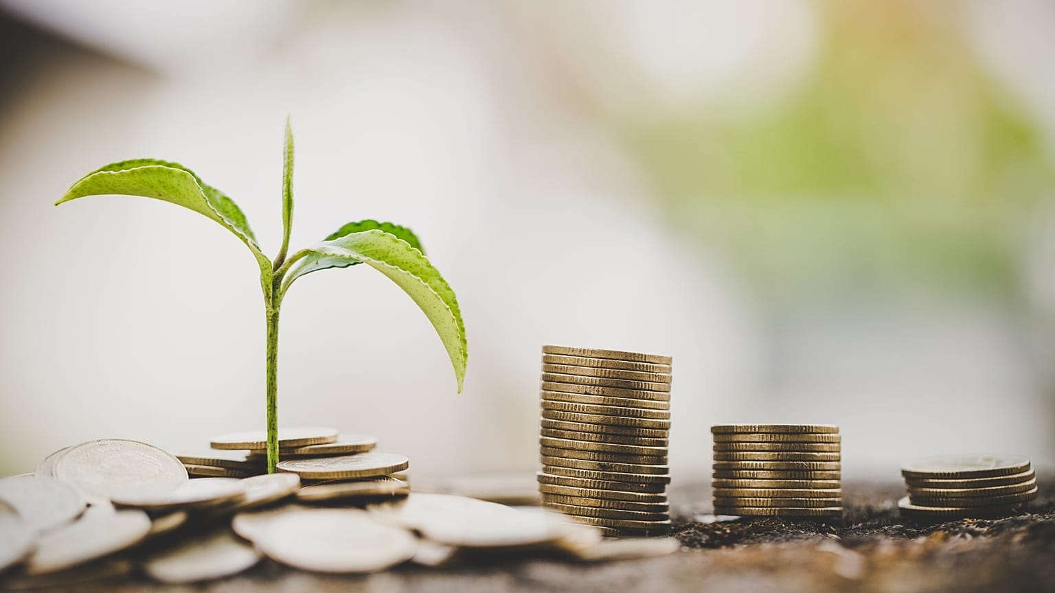 Can so-called 'green neobanks' make a difference in the fight against climate change?