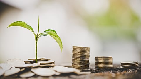 Can so-called 'green neobanks' make a difference in the fight against climate change?