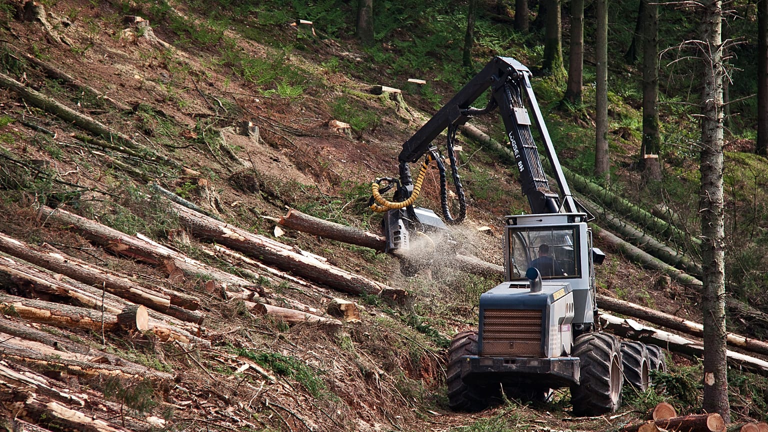The EU wants companies to check supply chains are green