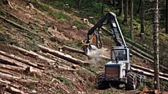 The EU wants companies to check supply chains are green