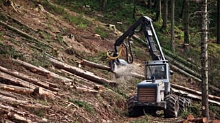 The EU wants companies to check supply chains are green