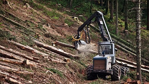 The EU wants companies to check supply chains are green