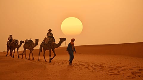 Morocco is still on track to meet its tourism target this year, despite the devastating earthquake that hit the country in September.