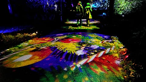 People walk through the festive light trail at The Royal Botanic Gardens, Kew, in London, Tuesday, Nov. 14, 2023.