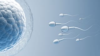 According to a new study, common pesticides found in foodstuffs could be causing lower sperm concentrations in men.