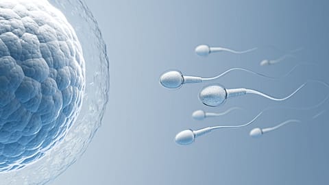 According to a new study, common pesticides found in foodstuffs could be causing lower sperm concentrations in men.