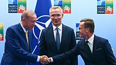 Erdoğan, Stoltenberg ve Kristersson