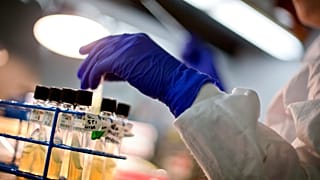 A microbiologist works with tubes of bacteria samples in a lab.