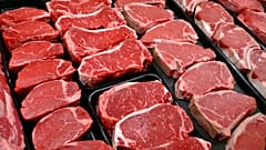 Für die Herstellung von Fleisch im Labor werden lebenden Tieren Stammzellen entnommen.