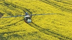 Die EU hat die Zulassung für das Herbizid um weitere zehn Jahre verlängert.