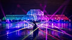 The Palm House finale, Christmas at Kew 2019. 