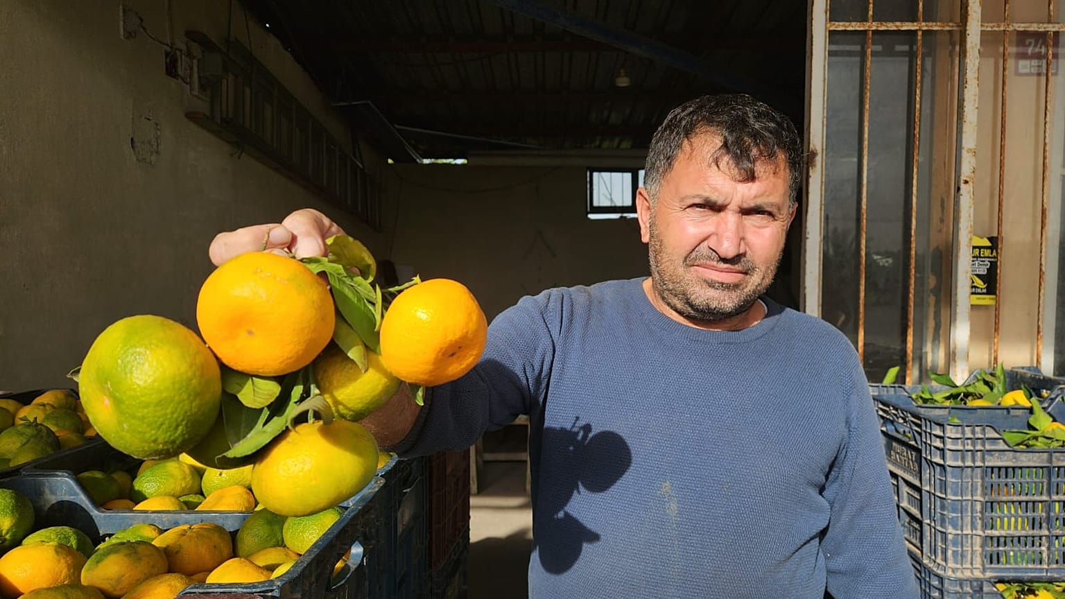 Narenciye meyvelerinin satışlarındaki durgunluk nedeniyle sorun yaşanıyor.