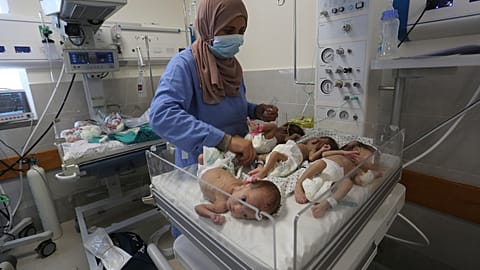Frühchen aus Gaza: die Babys sollen nach Ägypten gebracht werden
