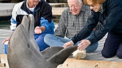 Rosalynn Carter (r.) zusammen mit ihrem Mann Jimmy Carter