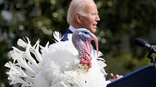 Die nationalen Thanksgiving-Truthähne Liberty und Bell landen nicht im Ofen, sondern werden begnadigt.