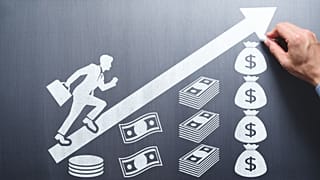 عکس تزیینی است