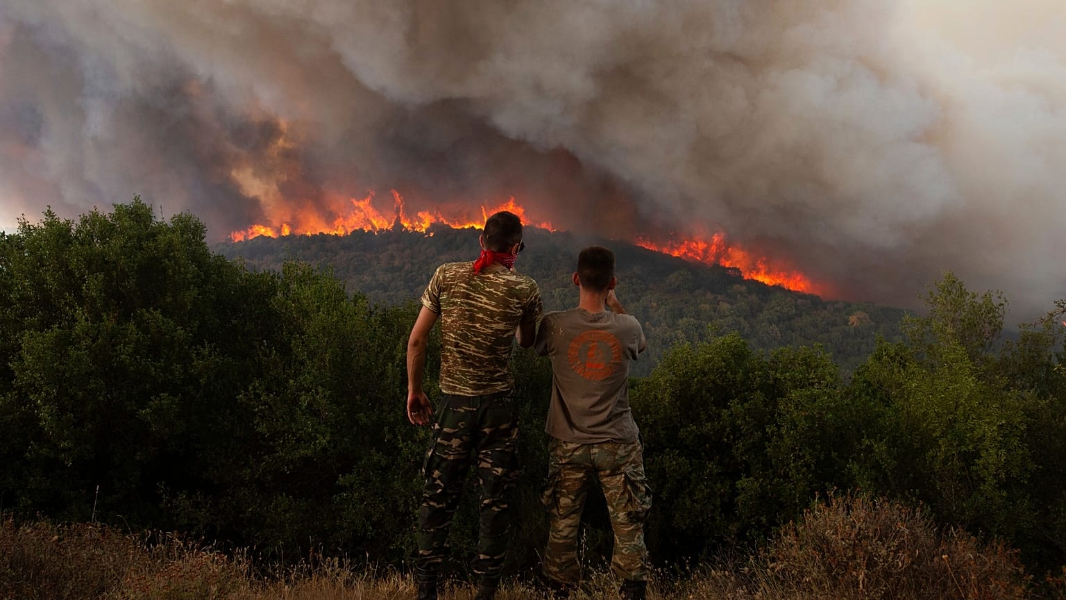 Une forêt brûle près du village de Sykorrahi, près de la ville d'Alexandroupolis, dans la région d'Evros, au nord-est de la Grèce, août 2023.