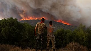 Лесные пожары в районе деревни Сикоррахи, недалеко от города Александруполис, на северо-востоке Греции, август 2023 года.