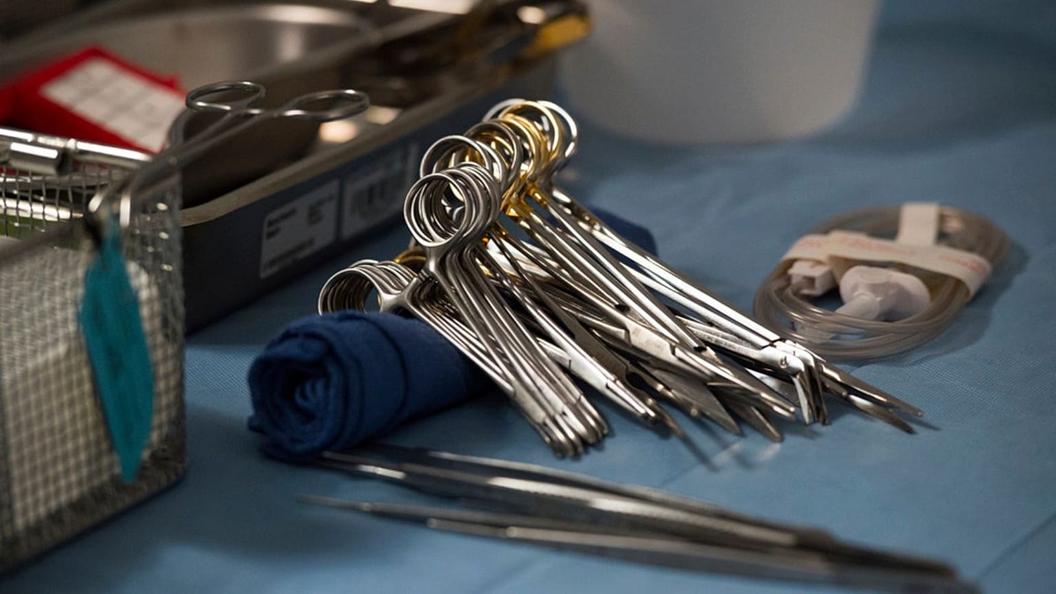 Organ transplant