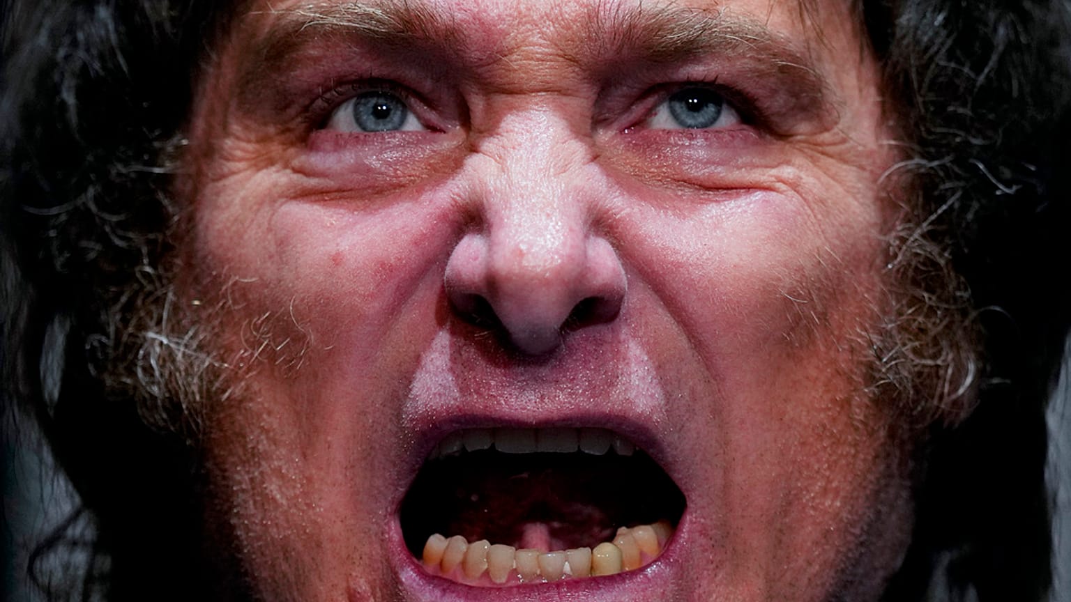 Arjantin'in yeni Devlet Başkanı Javier Milei, kendisinden "aslan" olarak bahsediyor. 