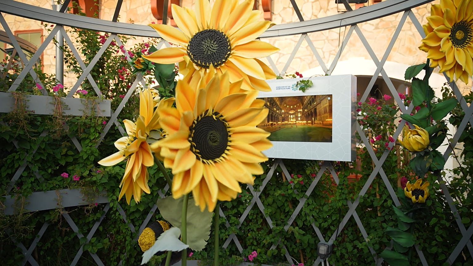 Expo 2023 Doha: soluzioni innovative per rendere i deserti più verdi