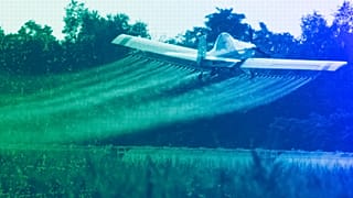 A crop-dusting plane sprays a field of corn, July 2011