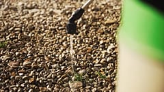 Glyphosat: ein in die Kritik geratenes Herbizid, wird in Europa weiter benutzt