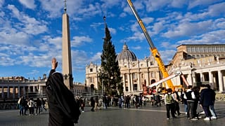 Aufbau des Weihnachtsbaums auf dem Petersplatz