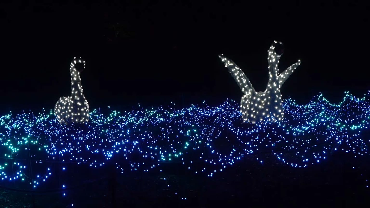 Natal no Jardim Zoológico de Berlim, novembro 2023