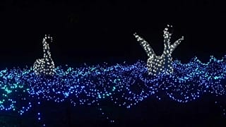 Natal no Jardim Zoológico de Berlim, novembro 2023