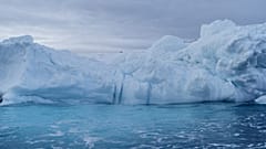 Antarctic 