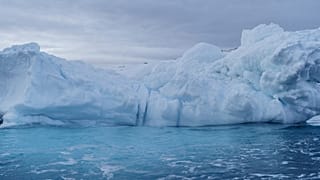 Antarctic 
