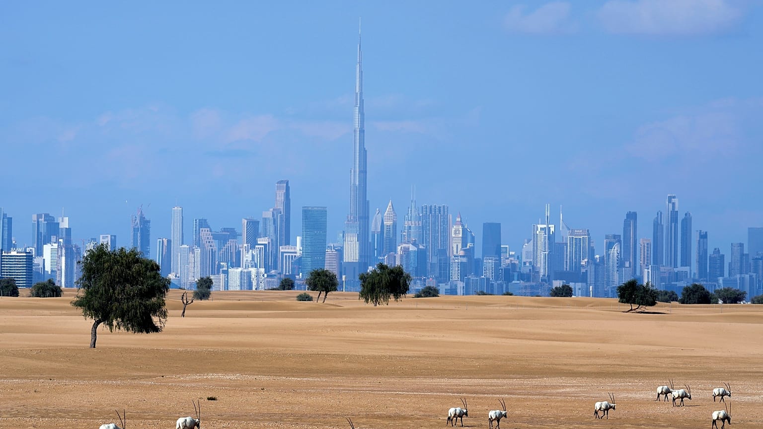 Dubai ist diesjähriger Gastgeber der COP28-Klimagespräche der Vereinten Nationen, 