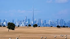 Dubai ist diesjähriger Gastgeber der COP28-Klimagespräche der Vereinten Nationen, 