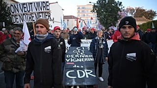 Protesters hold a mock coffin reading "Here lies the last winemaker of the CDR (Cote du Rhone)" during a protest on 25 November.