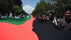 عکس تزئینی است
