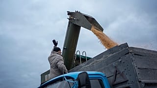 Ukrayna'nın Sumy bölgesinde bir çiftçi cephe hattının yakınında bir kamyona tahıl yüklerken 