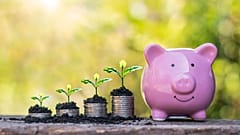 عکس تزیینی است